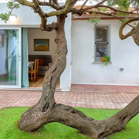 Casa Sergio * Ольбия