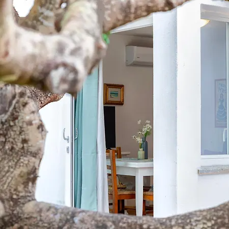 Casa Sergio * أولبيا